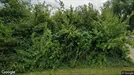 Erhvervsejendom til salg, Tongeren, Limburg, Rietmusweg 91