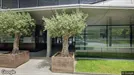 Office space for rent, Nyon, Waadt (Kantone), 19 Crassier 19
