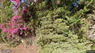 Commercial property for sale, Tala, Paphos (Eparchies), Ampelias 8