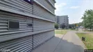 Commercial space for rent, Wrocław, Dolnośląskie, Świeradowska 51/57