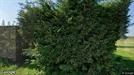 Przestrzeń komercyjna Do wynajęcia, Salcea, Nord-Est, Route du Chêne Chauveau 4012