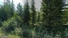 Commercial property for sale, Ilomantsi, Pohjois-Karjala, Mantsintie 1-3