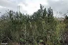 Productie te huur, Osby, Skåne County, &lt;span class=&quot;blurred street&quot; onclick=&quot;ProcessAdRequest(666186)&quot;&gt;&lt;span class=&quot;hint&quot;&gt;Zie straatnaam&lt;/span&gt;[xxxxxxxxxxxxx]&lt;/span&gt;