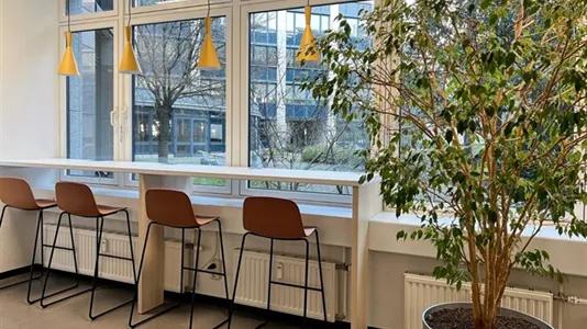 Büros zur Miete in Dresden - Foto 4