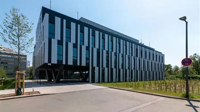 Office space for rent in Offenbach am Main, Hessen