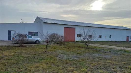 Warehouses for rent in Mangalia - photo 1