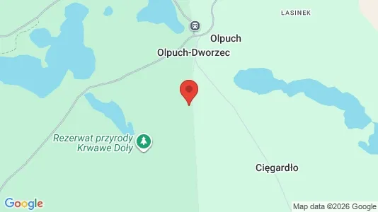 Lokaler til leje i Kościerski - Foto fra Google Street View