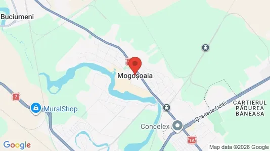 Lokaler til leje i Mogoşoaia - Foto fra Google Street View