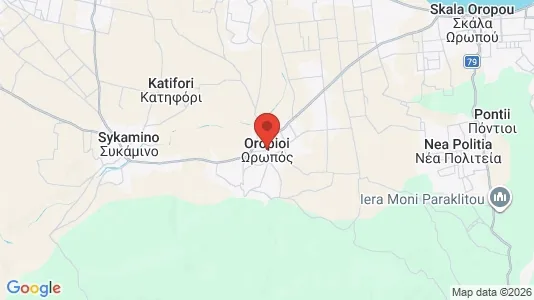 Varastot Vuokrattavana i Oropos - Kuva Google Street Viewstä