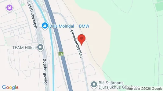 Almacenes En alquiler i Mölndal - kort over placeringen