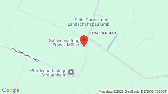 Coworking spaces for rent i Mannheim - kort over placeringen