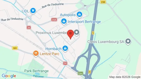 Büros zur Miete i Bertrange – Foto von Google Street View