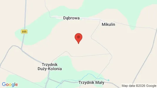 Lokaler til leje i Kraśnicki - Foto fra Google Street View