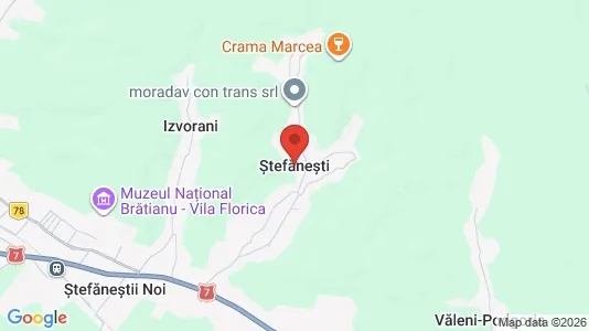 Kliniklokaler til leje i Ştefăneşti - kort over placeringen
