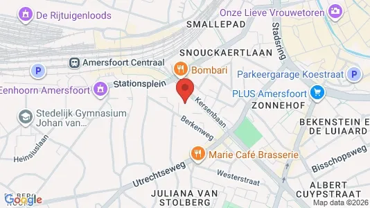 Office spaces for rent i Amersfoort - kort over placeringen