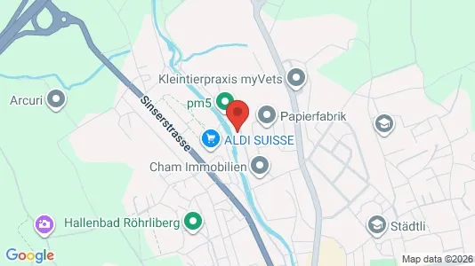 Commercial properties for rent i Zug - kort over placeringen
