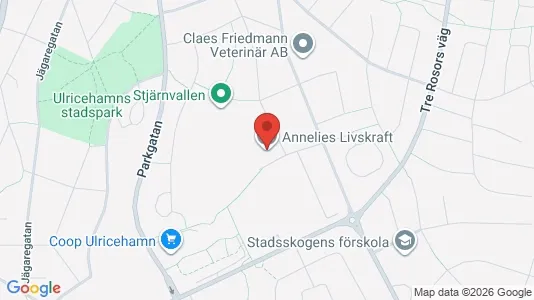 Gewerbeflächen zur Miete i Ulricehamn – Foto von Google Street View
