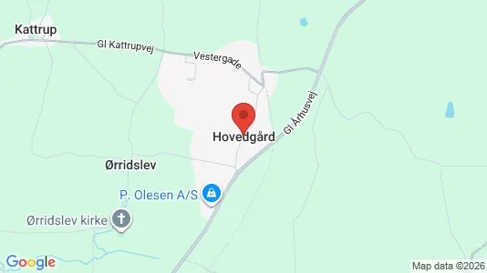 Kaupat Vuokrattavana i Hovedgård - Kuva Google Street Viewstä
