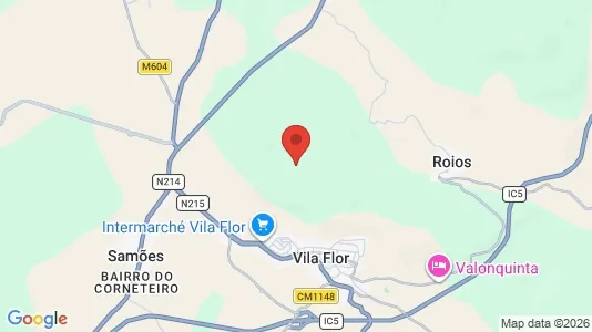 Shops for sale i Vila Flor - Photo from Google Street View