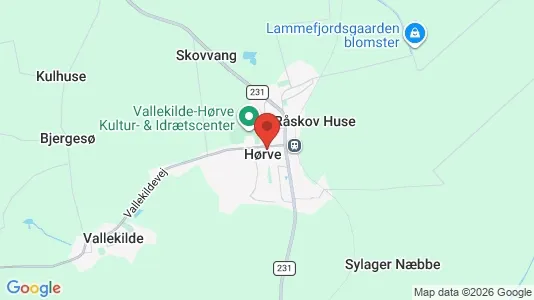 Varastot Myynnissä i Hørve - Kuva Google Street Viewstä