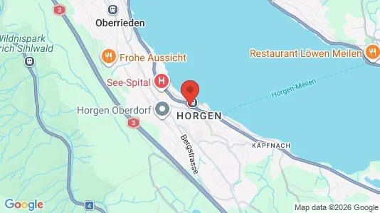 Gewerbeflächen zur Miete i Horgen – Foto von Google Street View