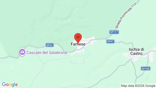 Shops for sale i Farnese - Photo from Google Street View