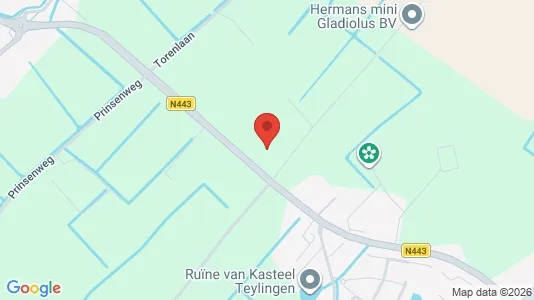 Commercial properties for sale i Teylingen - Photo from Google Street View