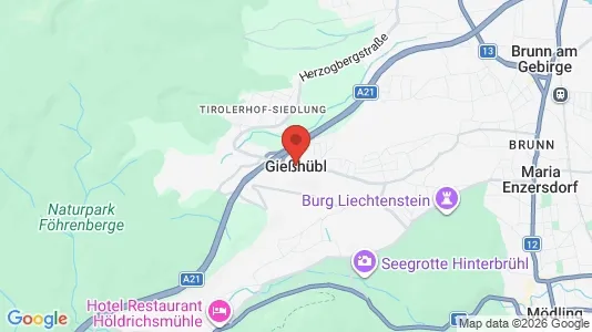 Büros zur Miete i Gießhübl – Foto von Google Street View