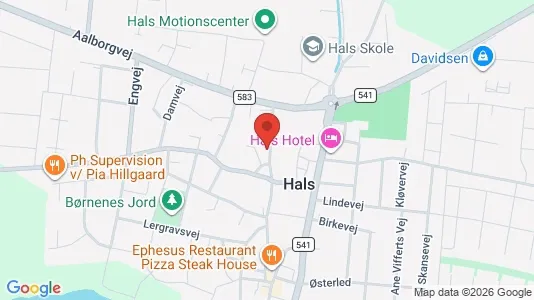Commercial properties for rent i Hals - kort over placeringen