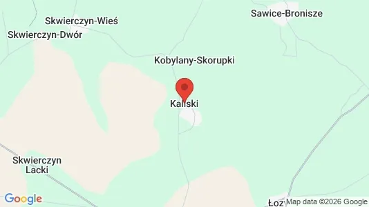 Lager til leie i Kaliski – Bilde fra Google Street View