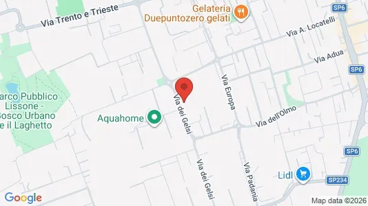 Warehouses for sale i Biassono - kort over placeringen