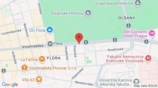 Lokaler til salg i Prag 3 - Foto fra Google Street View