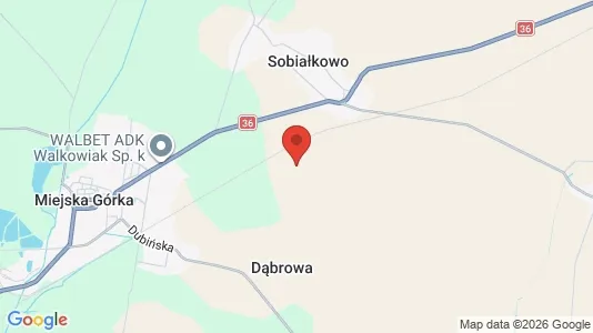 Shops for sale i Rawicki - kort over placeringen