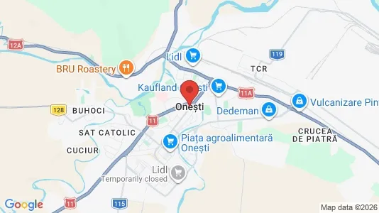 Propiedades comerciales En venta i Oneşti - Foto de Google Street View
