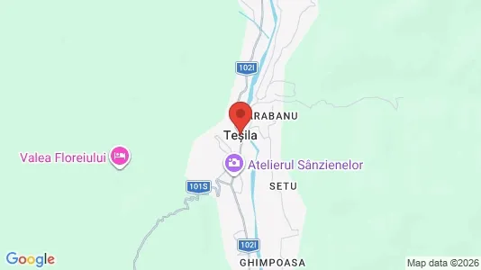 Commercial properties for sale i Valea Doftanei - Photo from Google Street View