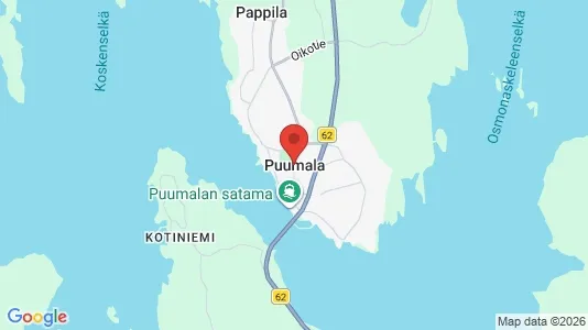 Kaupat Vuokrattavana i Puumala - Kuva Google Street Viewstä