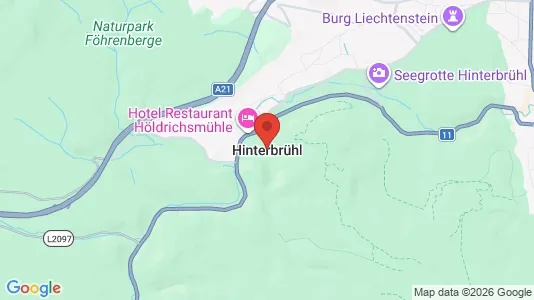 Gewerbeflächen zur Miete i Hinterbrühl – Foto von Google Street View