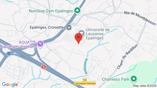 Kontorer til leie i Lausanne – Bilde fra Google Street View