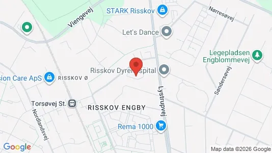 Varastot Vuokrattavana i Risskov - Kuva Google Street Viewstä