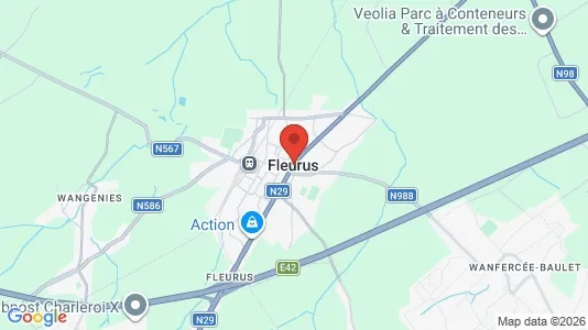 Kaupat Myynnissä i Fleurus - Kuva Google Street Viewstä