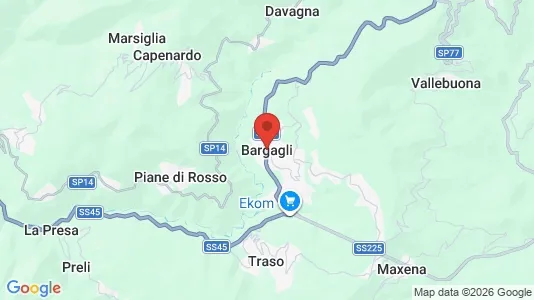 Winkels te koop i Bargagli - Foto uit Google Street View