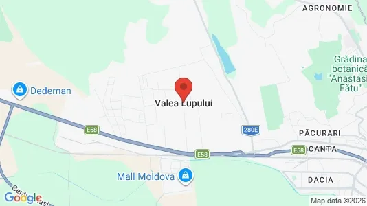 Gewerbeflächen zur Miete i Valea Lupului – Foto von Google Street View