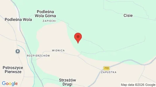 Liikekiinteistöt Vuokrattavana i Miechowski - Kuva Google Street Viewstä