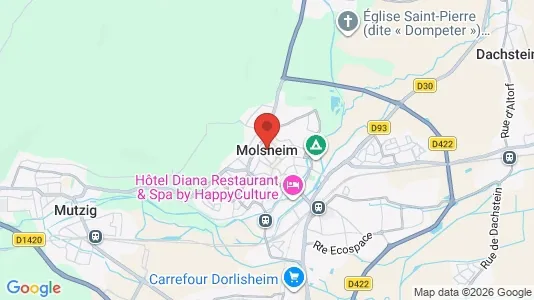 Lokaler til leje i Molsheim - Foto fra Google Street View