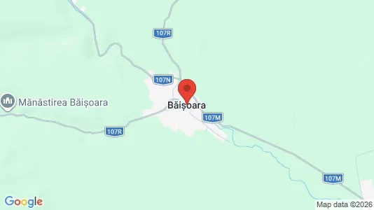 Lokaler til leje i Băişoara - Foto fra Google Street View