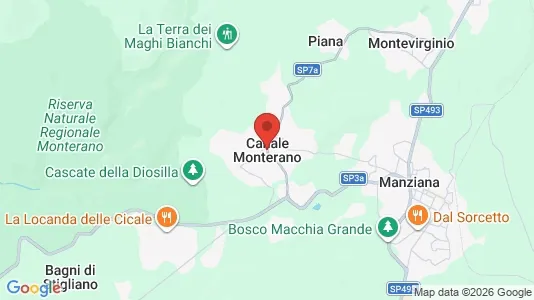 Commercial properties for rent i Canale Monterano - kort over placeringen