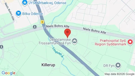 Büros zur Miete i Odense SØ – Foto von Google Street View