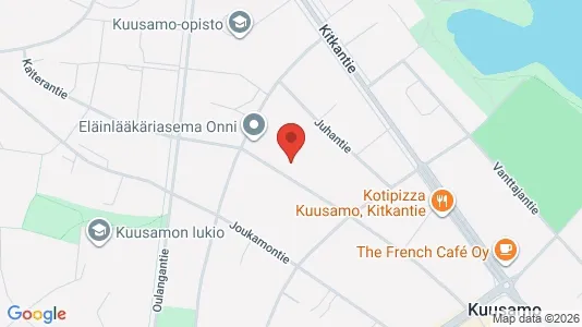 Liikekiinteistöt Myynnissä i Kuusamo - Kuva Google Street Viewstä