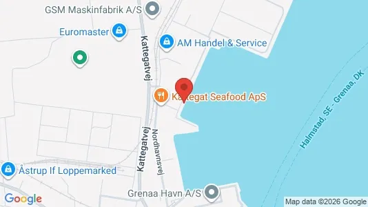 Liikekiinteistöt Myynnissä i Grenaa - Kuva Google Street Viewstä