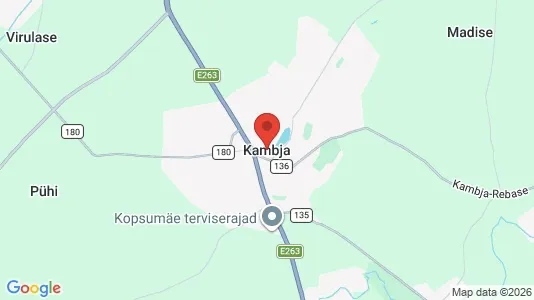 Lokaler til salg i Kambja - Foto fra Google Street View
